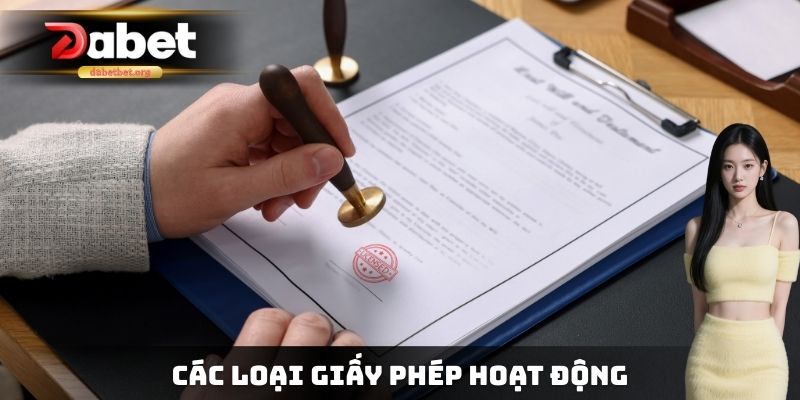 Các loại giấy phép hoạt động