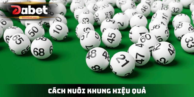 Cách nuôi khung hiệu quả