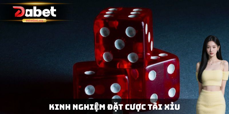 Kinh nghiệm đặt cược tài xỉu được rất nhiều chuyên gia tin dùng